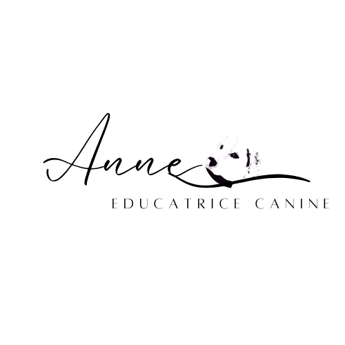 Anne Educatrice Canine - Vaucluse - Aubingnan